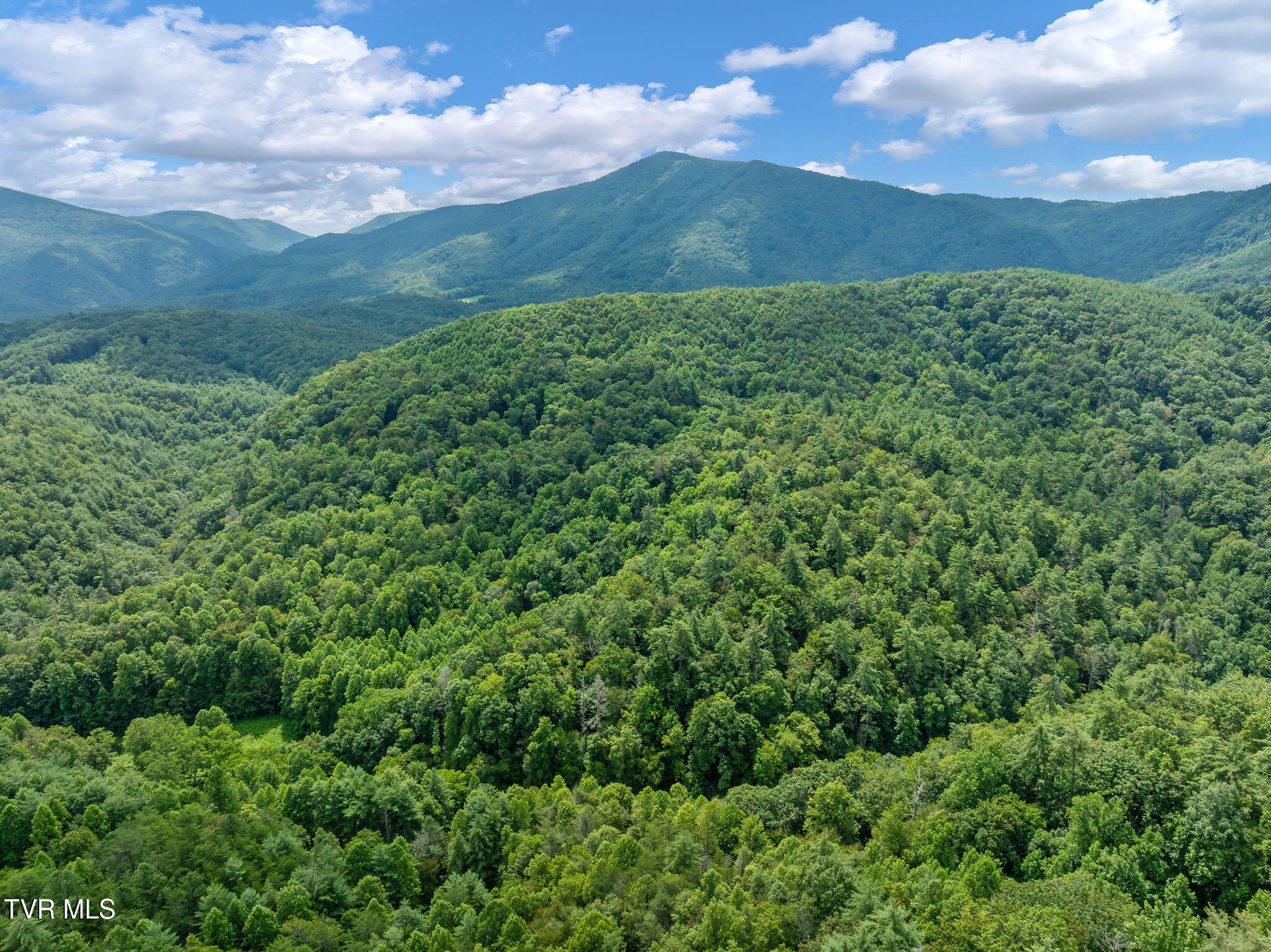 Tbd Omaha Road Del Rio, TN 37727 - Photo 8 of 18 DJI_0682