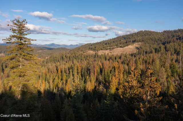 $415,000 | 6946 East Burma Road, Harrison, ID 83833