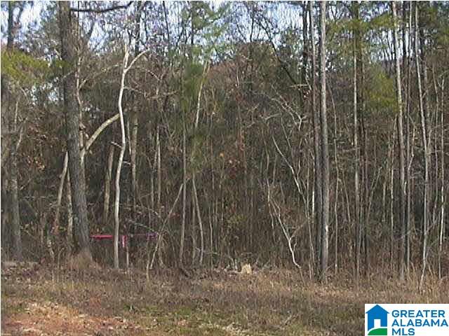 Autumn View Drive Sterrett, AL 35147 - Photo 3 of 5