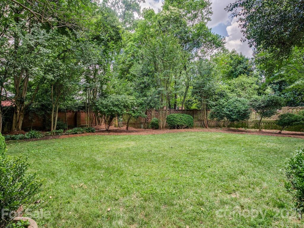2001 Queens Road East Charlotte, NC 28207 - Photo 34 of 39 a view of a lush green space
