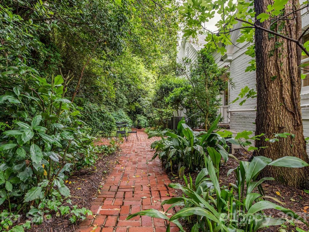 2001 Queens Road East Charlotte, NC 28207 - Photo 37 of 39 a backyard of a house with lots of green space