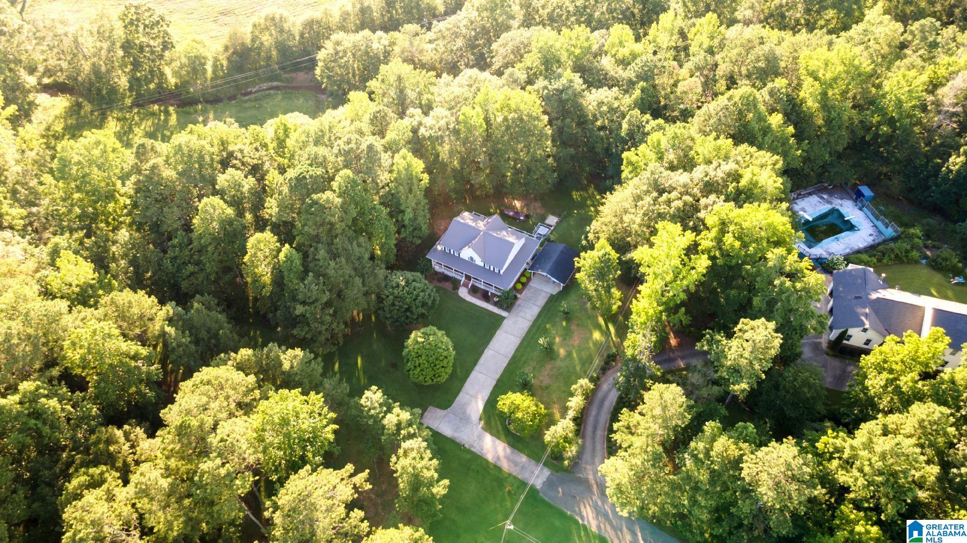 230 Pine Ridge Drive Lineville, AL 36266 - Photo 4 of 53