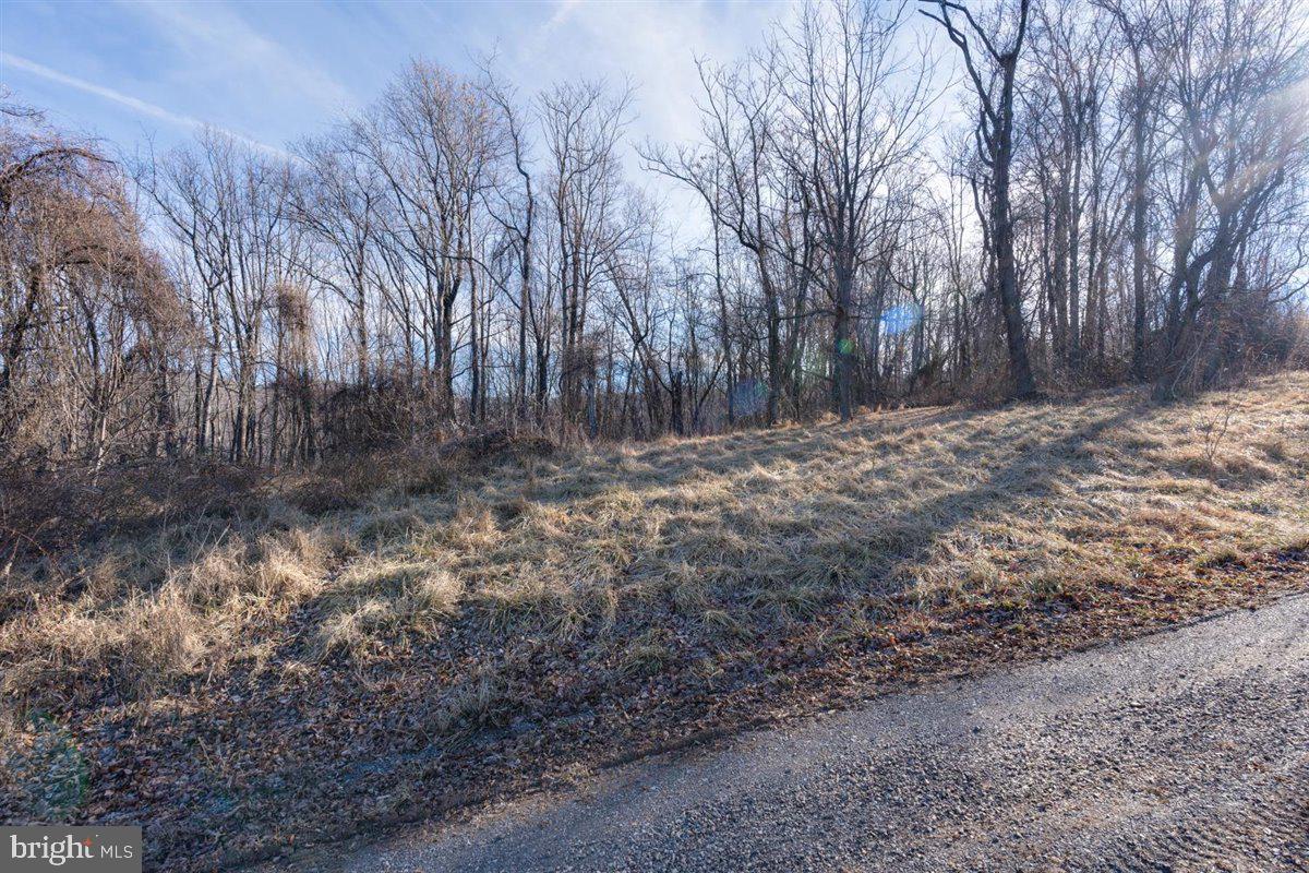 Tbd Overlook Mountain Road Elkton, VA 22827 - Photo 2 of 4