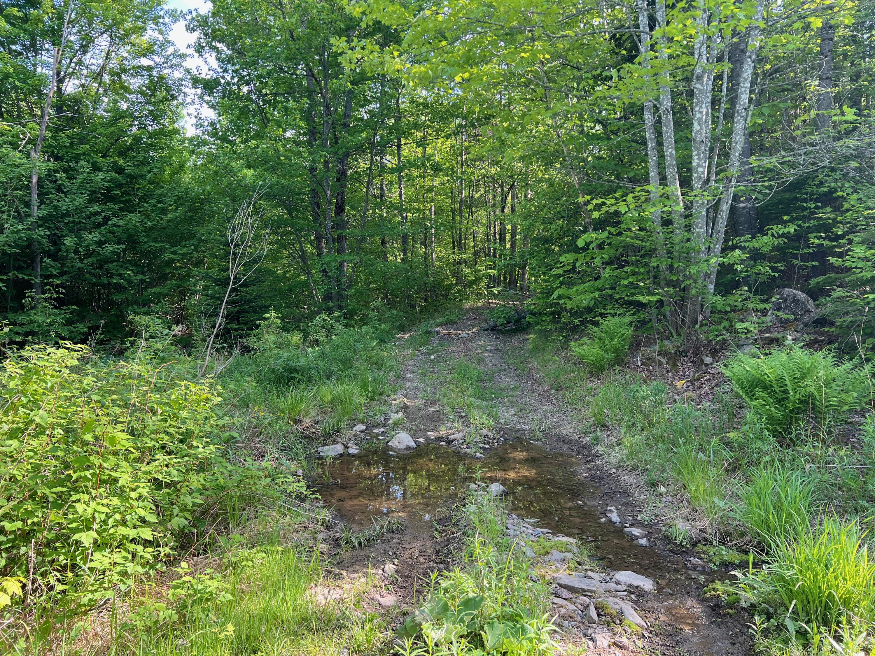 60 Hutchinson Road Linneus, ME 04730 - Photo 16 of 20 IMG_4282