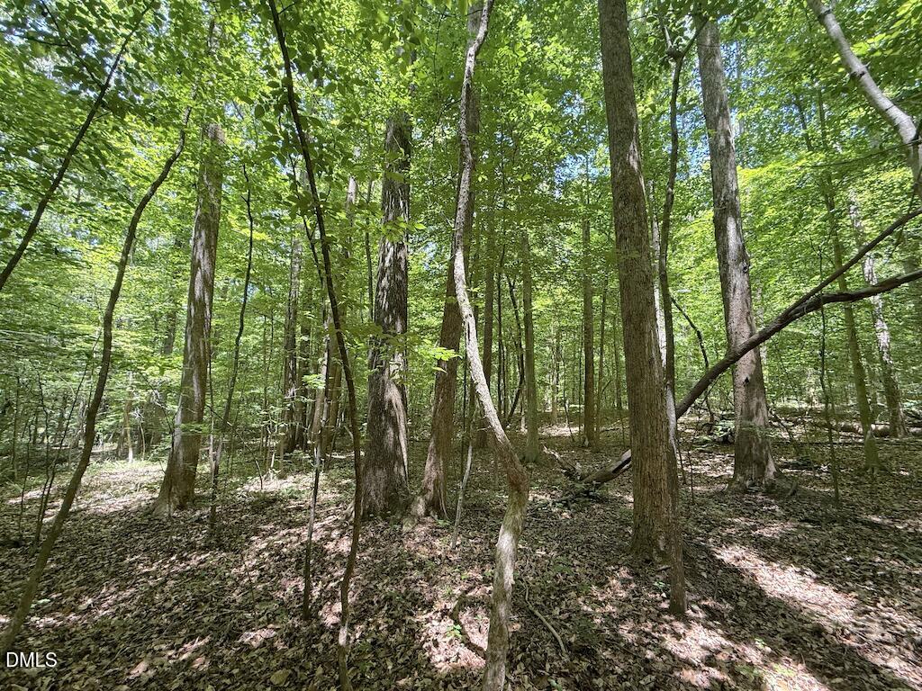 0 Buttonwood Lane Roxboro, NC 27574 - Photo 24 of 36