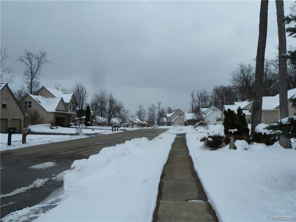 1378 Remsing Street Hartland, MI 48353 - Photo 50 of 52 Street View