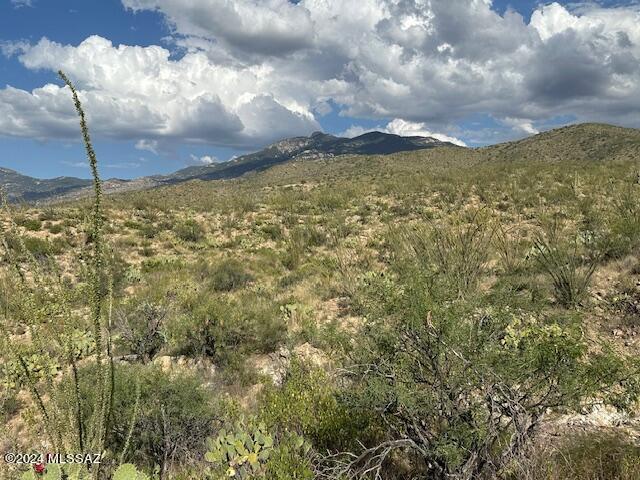 8167 South Pistol Hill Road Vail, AZ 85641 - Photo 18 of 36