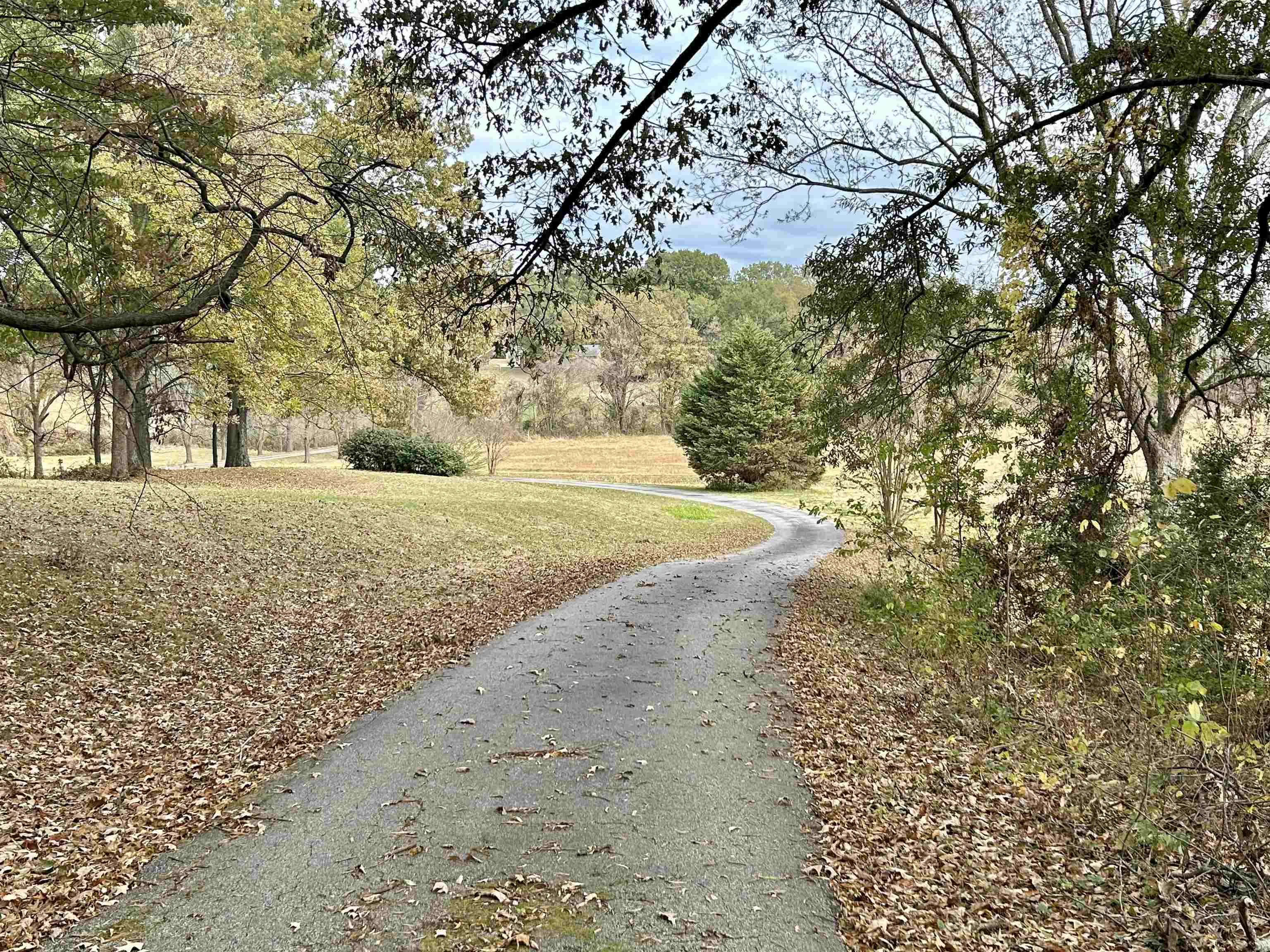 View of road