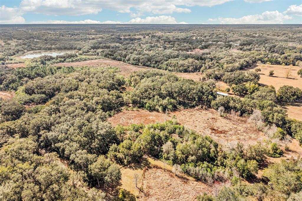 a view of city and ocean