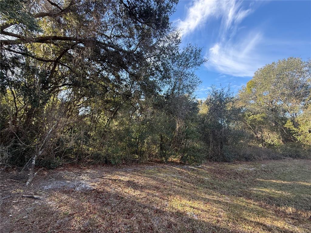 Harris Lake Road Lady Lake, FL 32159 - Photo 2 of 2