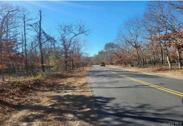a view of yard with a fountain