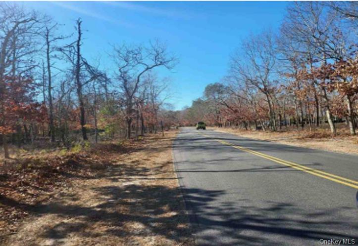 550-549 Wainscott NW Road East Hampton, NY 11937 - Photo 2 of 6 View of asphalt street