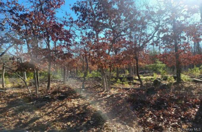 550-549 Wainscott NW Road East Hampton, NY 11937 - Photo 3 of 6 View of undeveloped land