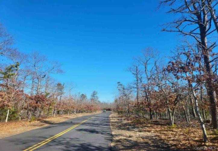 550-549 Wainscott NW Road East Hampton, NY 11937 - Photo 6 of 6 View of asphalt road with a rural view