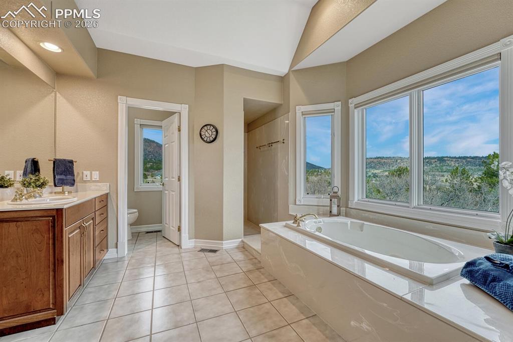 620 Forest View Way Monument, CO 80132 - Photo 24 of 48