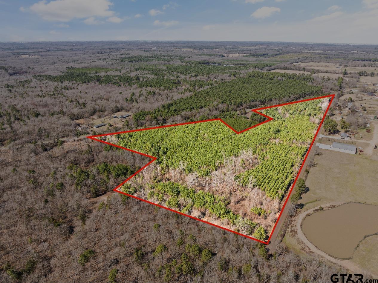 Lot 1 Fm 556 Pittsburg, TX 75686 - Photo 10 of 11 a view of a lake with a mountain in the background