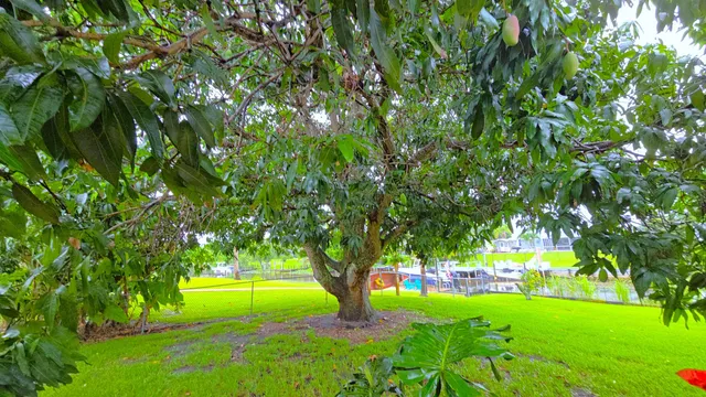 $1,150,000 | 147 Northeast Naranja Avenue, Port St. Lucie, FL 34983