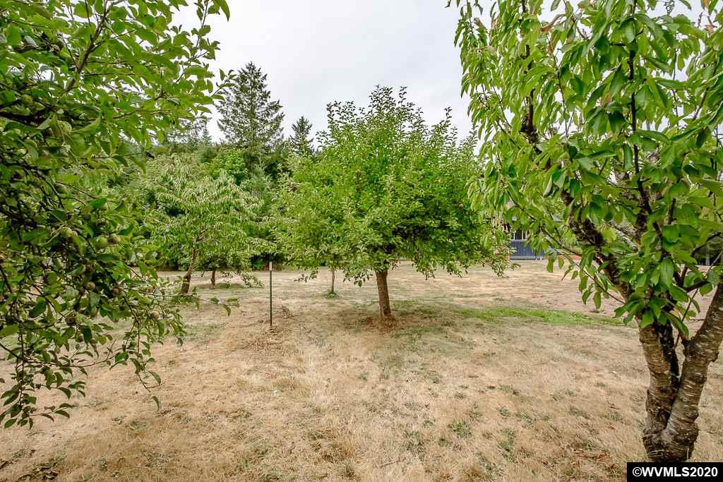 6055 Peaks View Road Scotts Mills, OR 97375 - Photo 39 of 42 Gallery Image 39