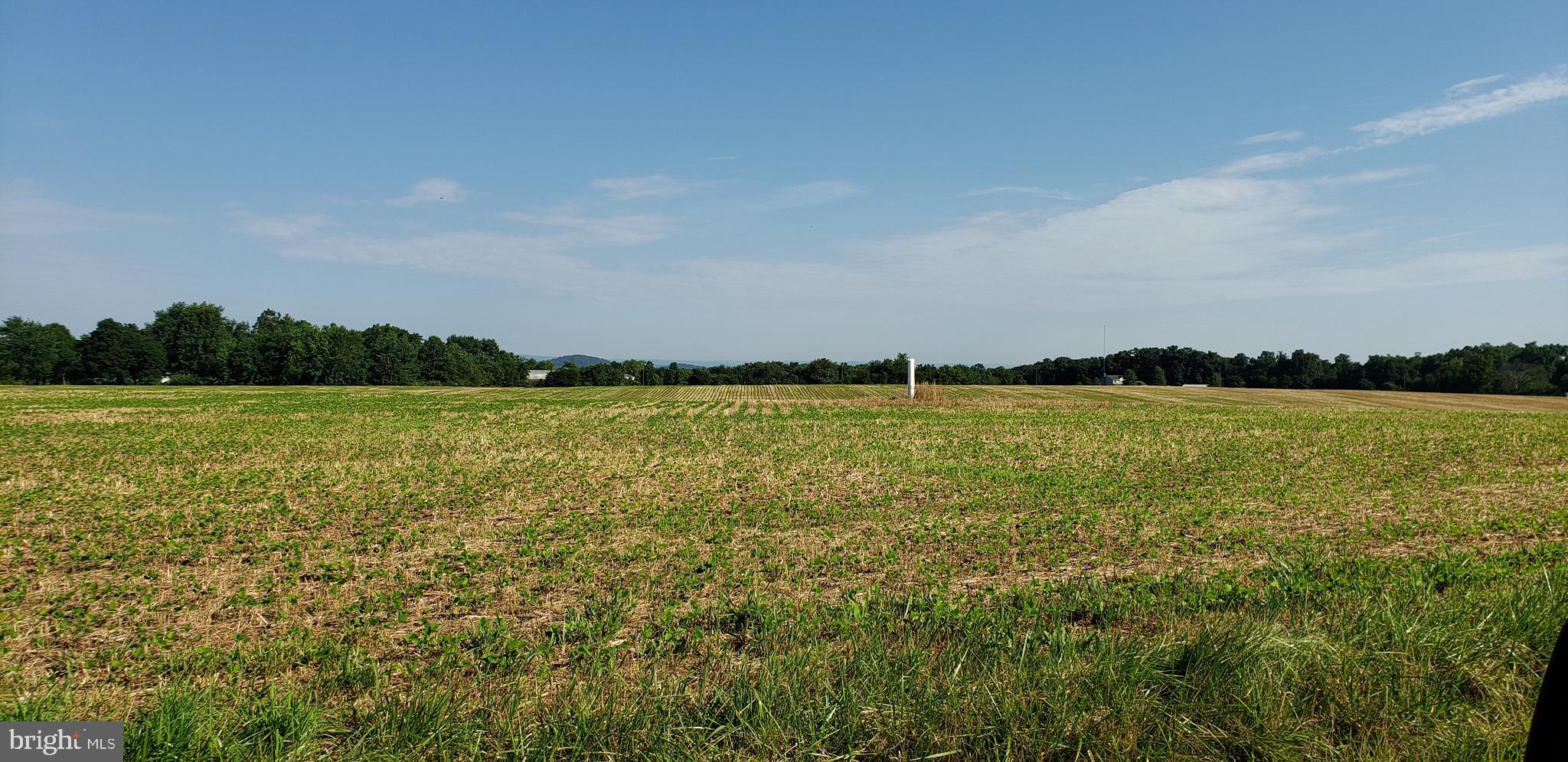 Bullfrog Road Taneytown, MD 21787 - Photo 8 of 9