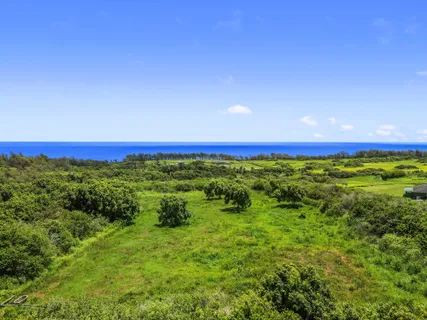 $890,000 | 53-338 Kapanaia Road, Kapaau, HI 96755