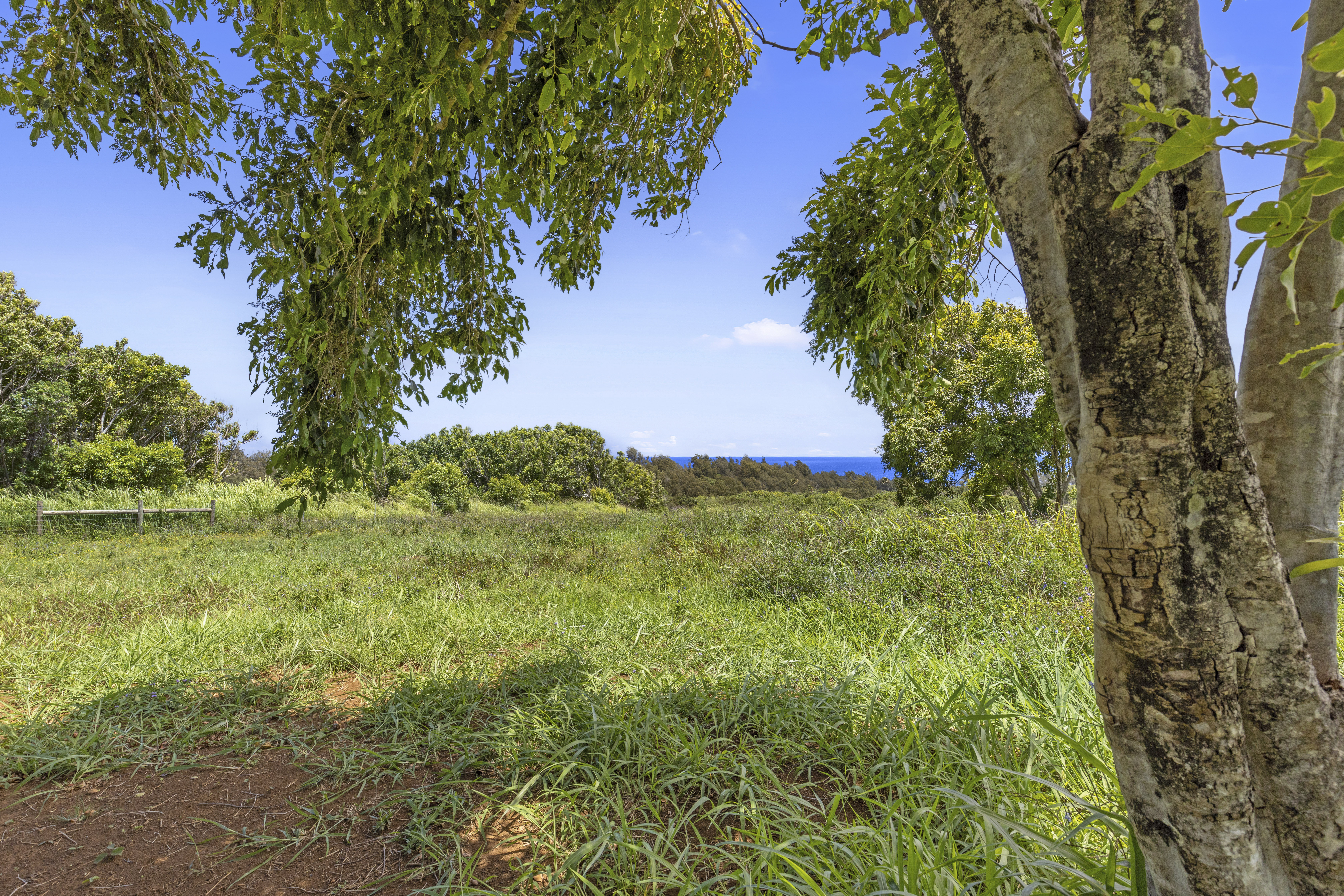 53-338 Kapanaia Road Kapaau, HI 96755 - Photo 11 of 22
