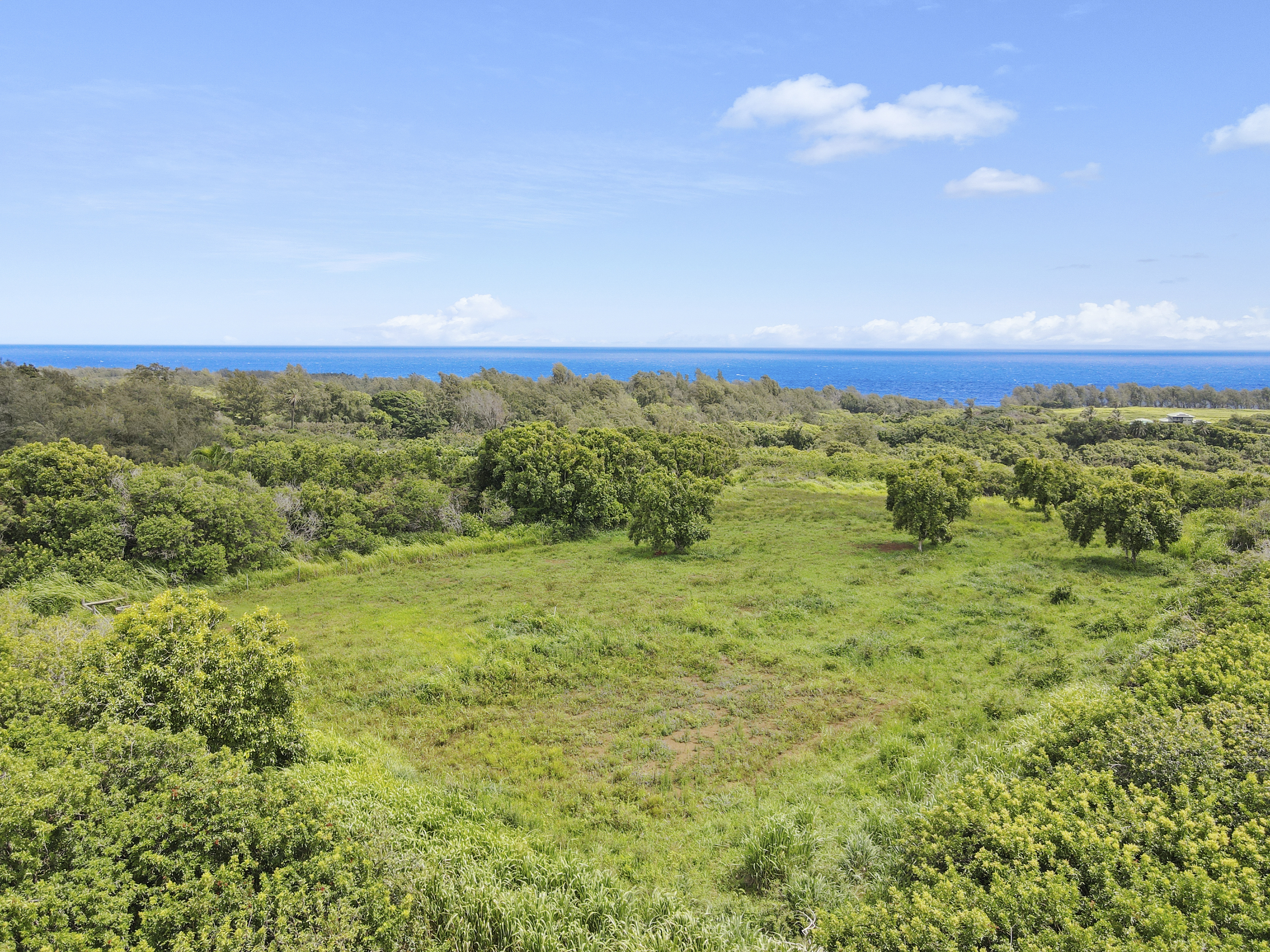 53-338 Kapanaia Road Kapaau, HI 96755 - Photo 12 of 22