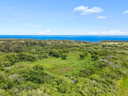 $890,000 | 53-338 Kapanaia Road, Kapaau, HI 96755
