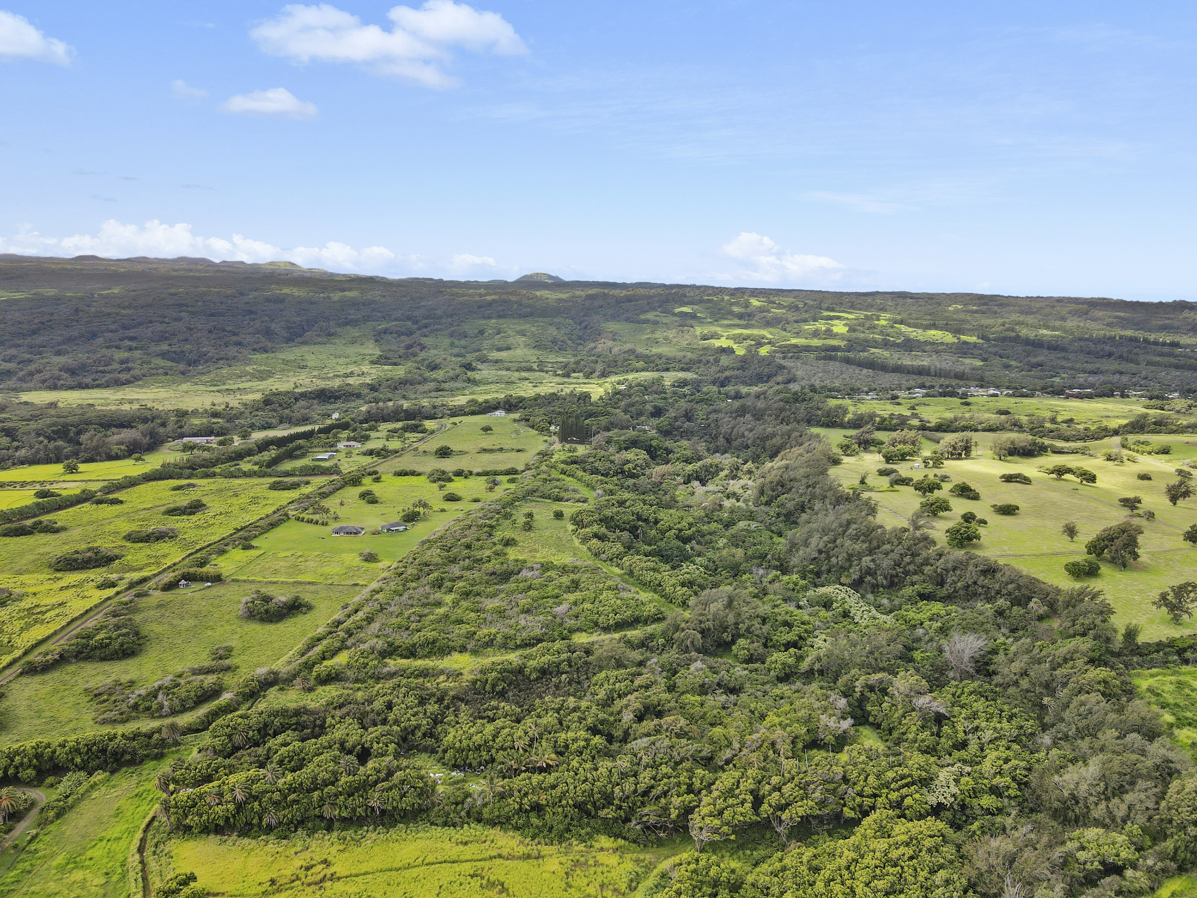 53-338 Kapanaia Road Kapaau, HI 96755 - Photo 16 of 22