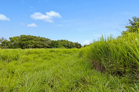 $890,000 | 53-338 Kapanaia Road, Kapaau, HI 96755