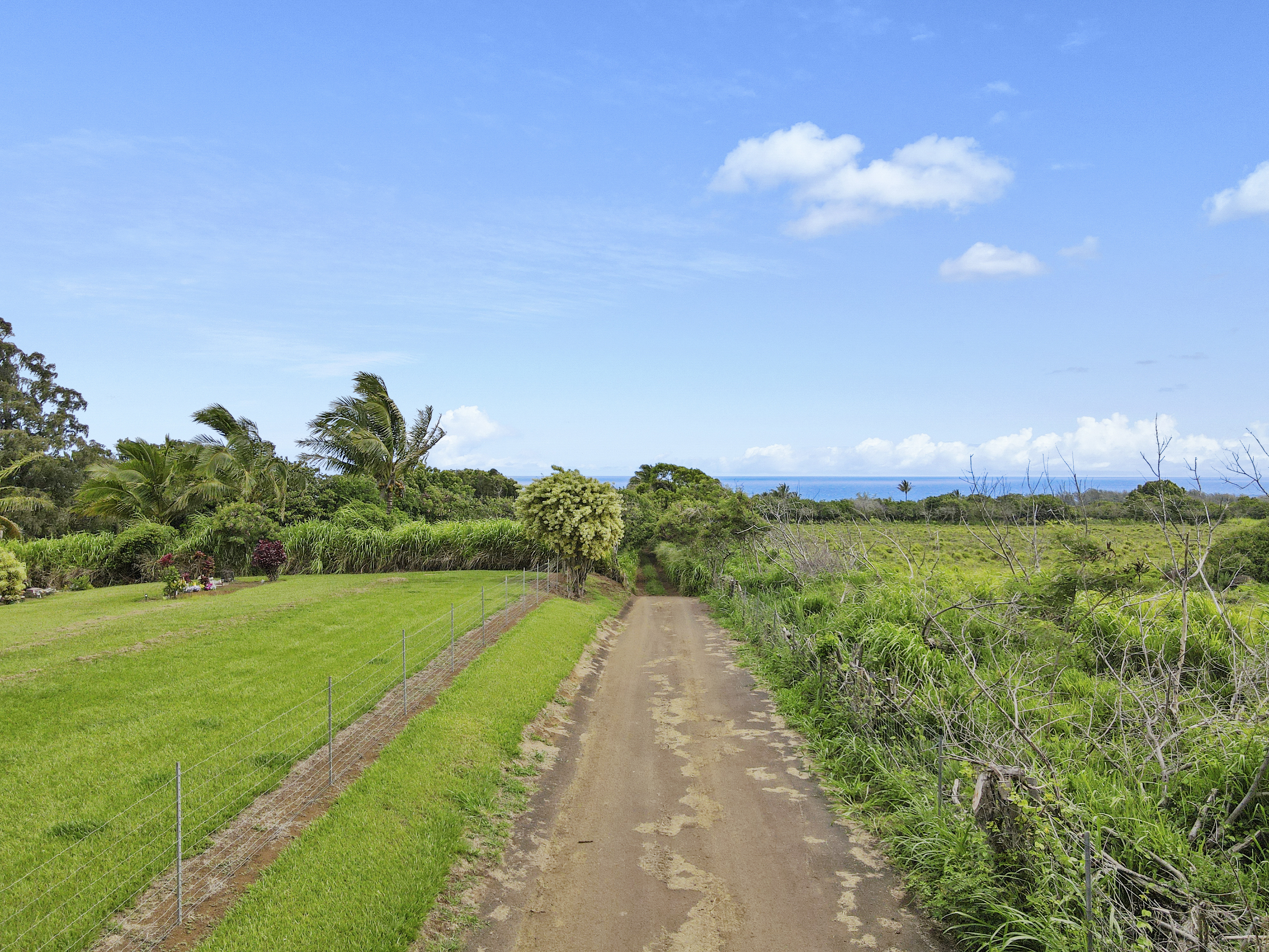 53-338 Kapanaia Road Kapaau, HI 96755 - Photo 18 of 22