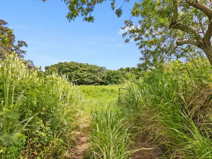 $890,000 | 53-338 Kapanaia Road, Kapaau, HI 96755