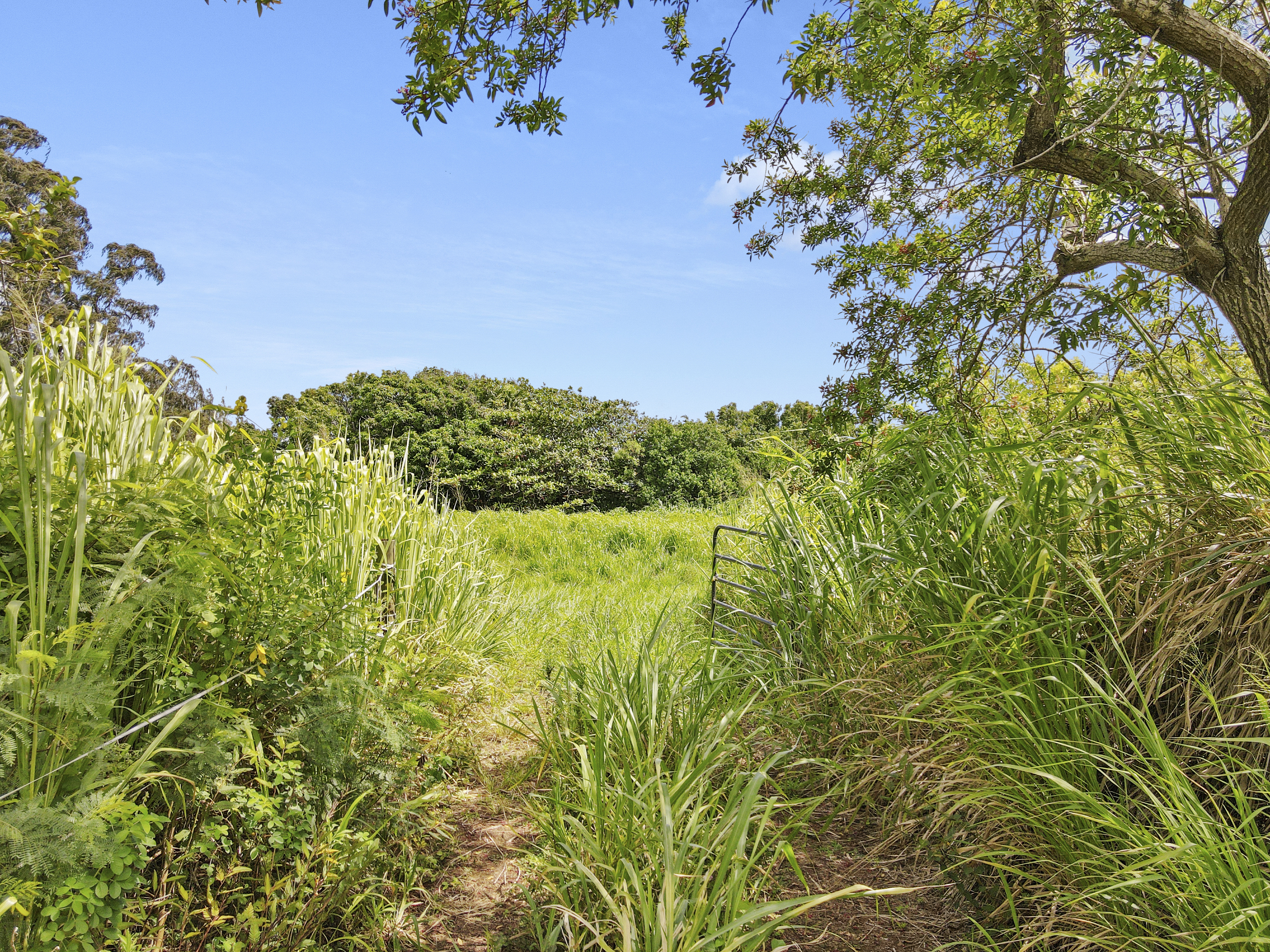 53-338 Kapanaia Road Kapaau, HI 96755 - Photo 20 of 22
