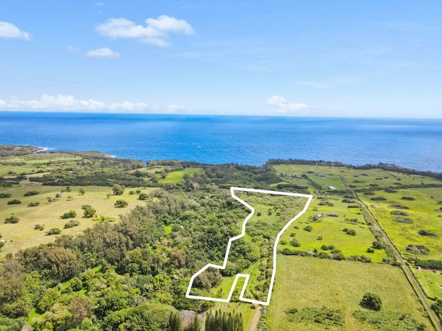 $890,000 | 53-338 Kapanaia Road, Kapaau, HI 96755