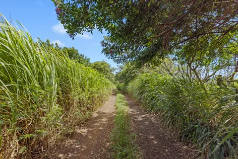 $890,000 | 53-338 Kapanaia Road, Kapaau, HI 96755