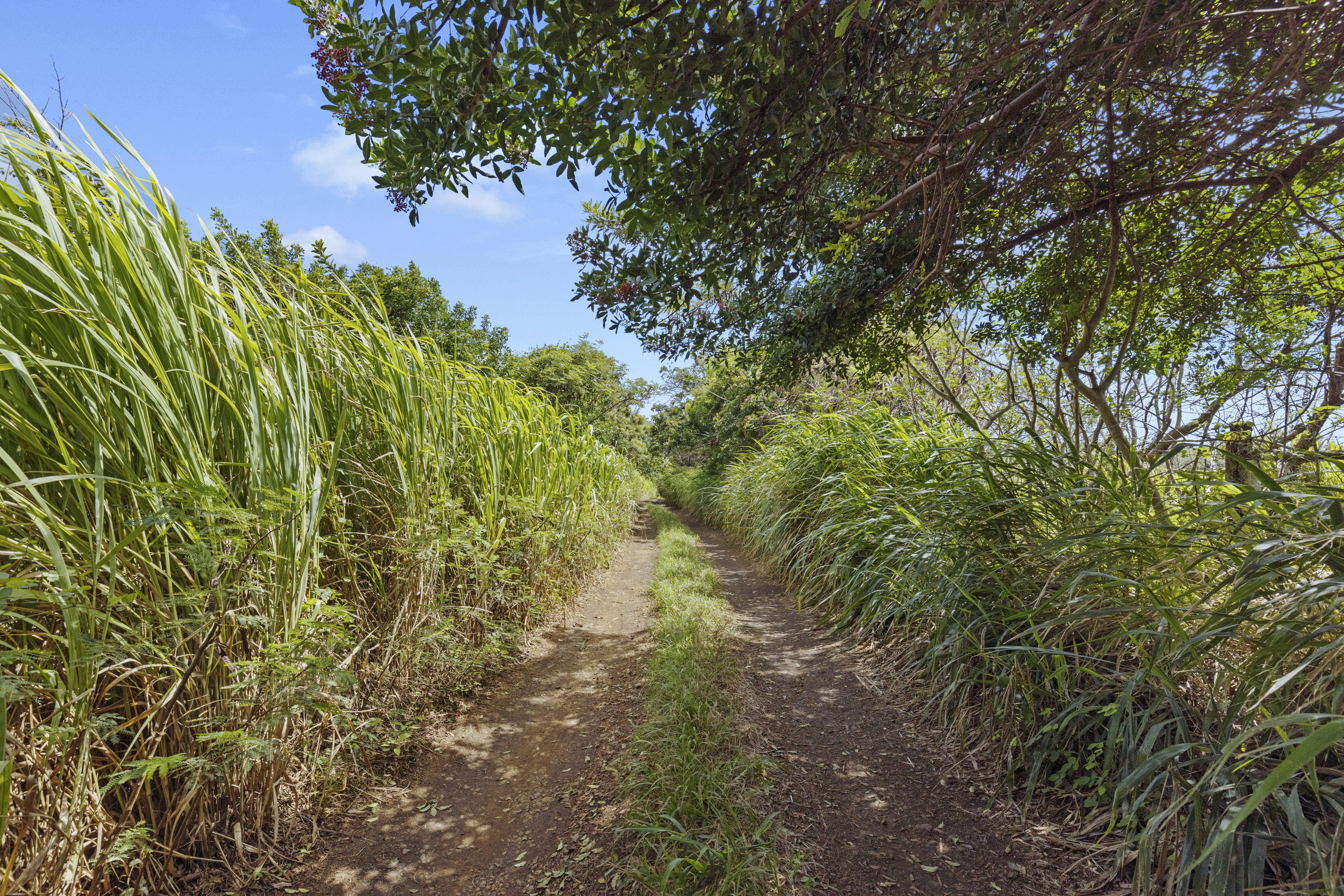53-338 Kapanaia Road Kapaau, HI 96755 - Photo 21 of 22