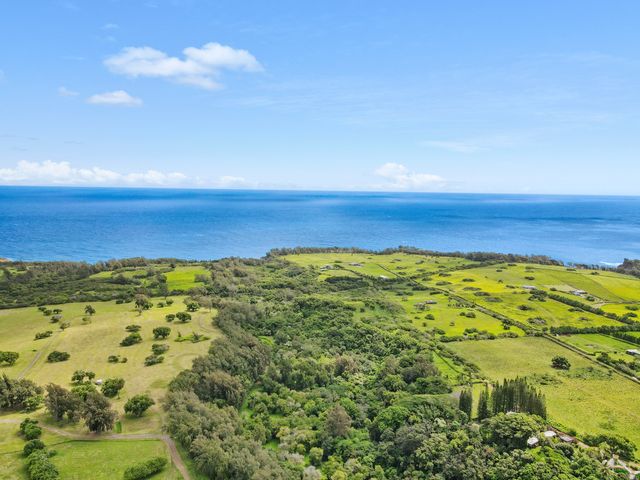 $890,000 | 53-338 Kapanaia Road, Kapaau, HI 96755