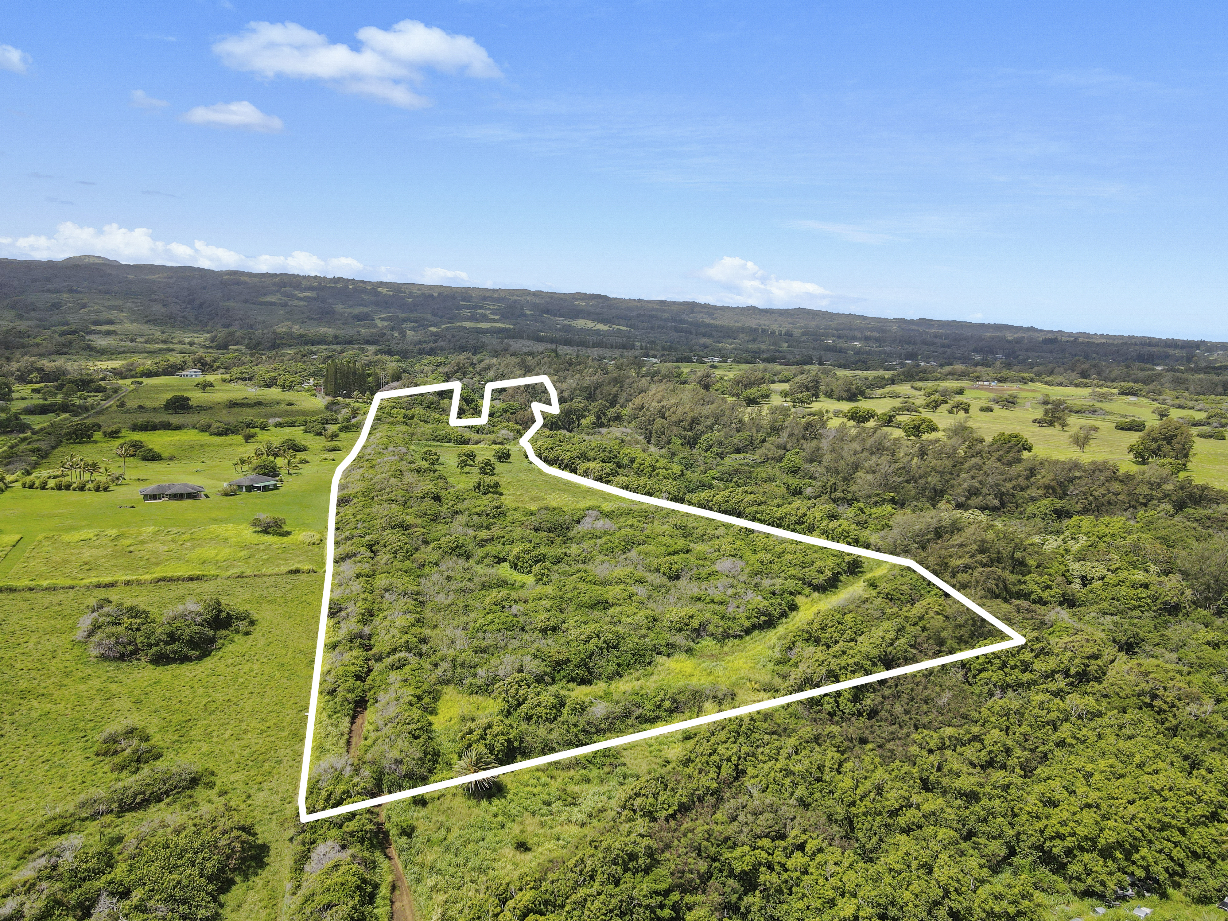 53-338 Kapanaia Road Kapaau, HI 96755 - Photo 3 of 22