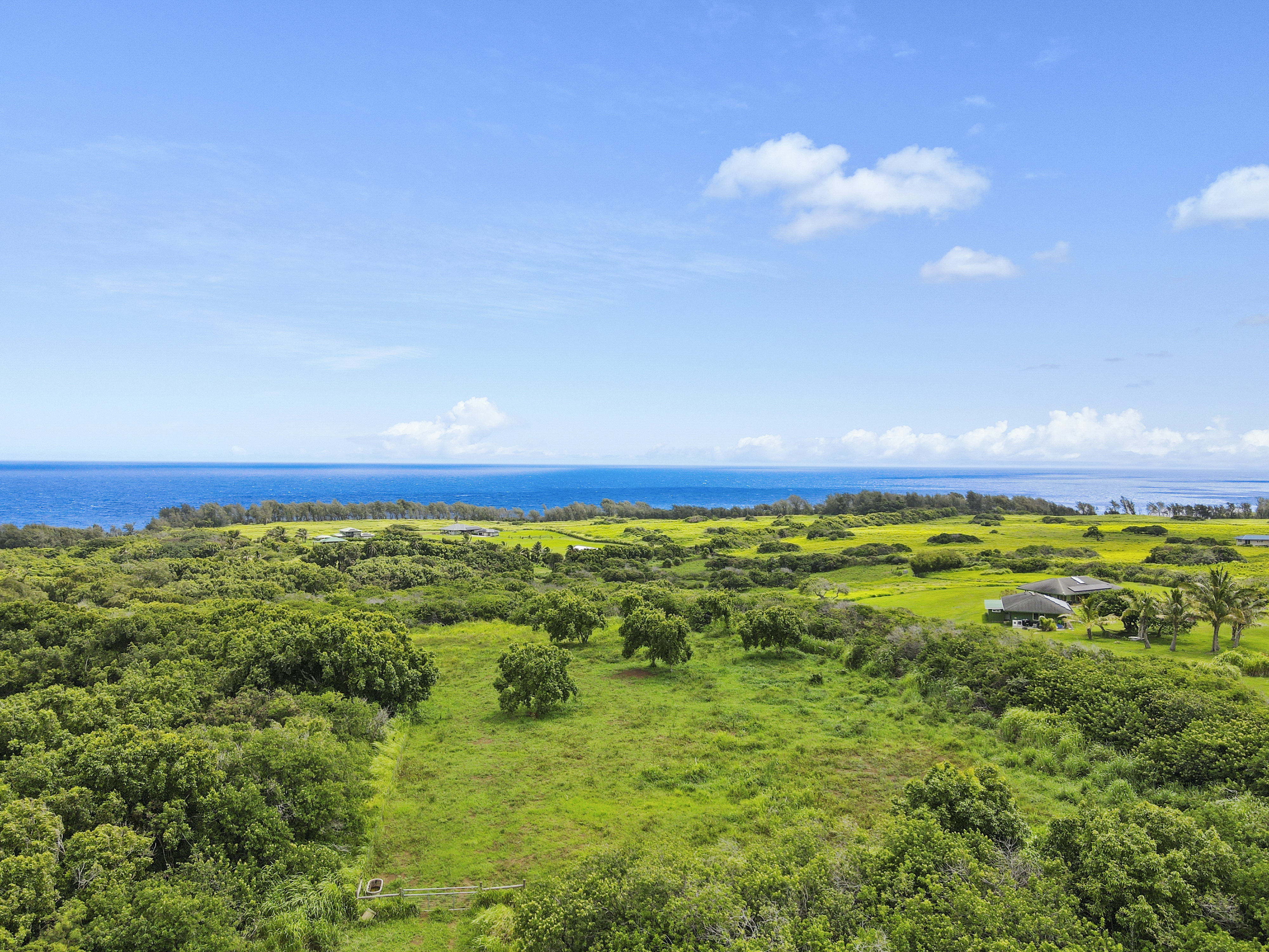 53-338 Kapanaia Road Kapaau, HI 96755 - Photo 4 of 22