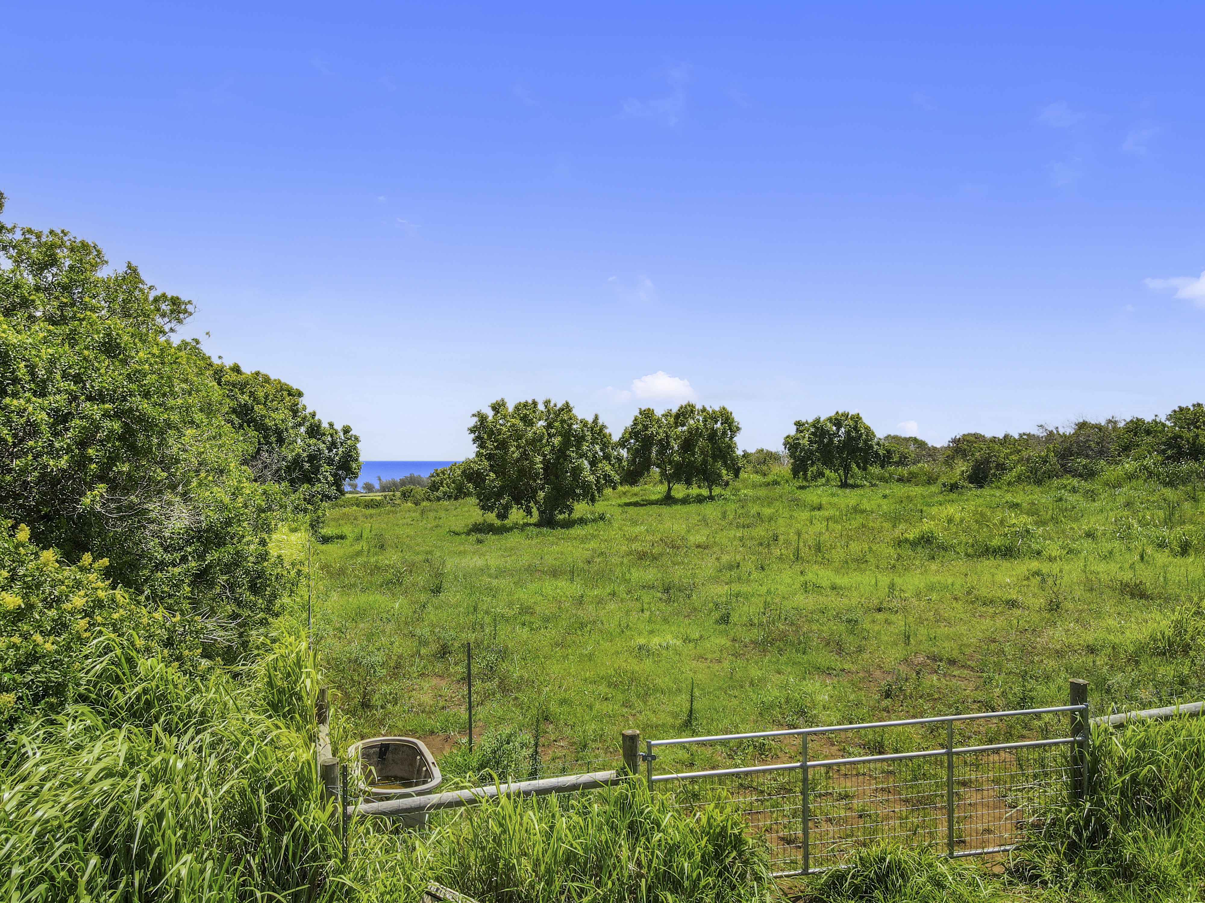 53-338 Kapanaia Road Kapaau, HI 96755 - Photo 5 of 22