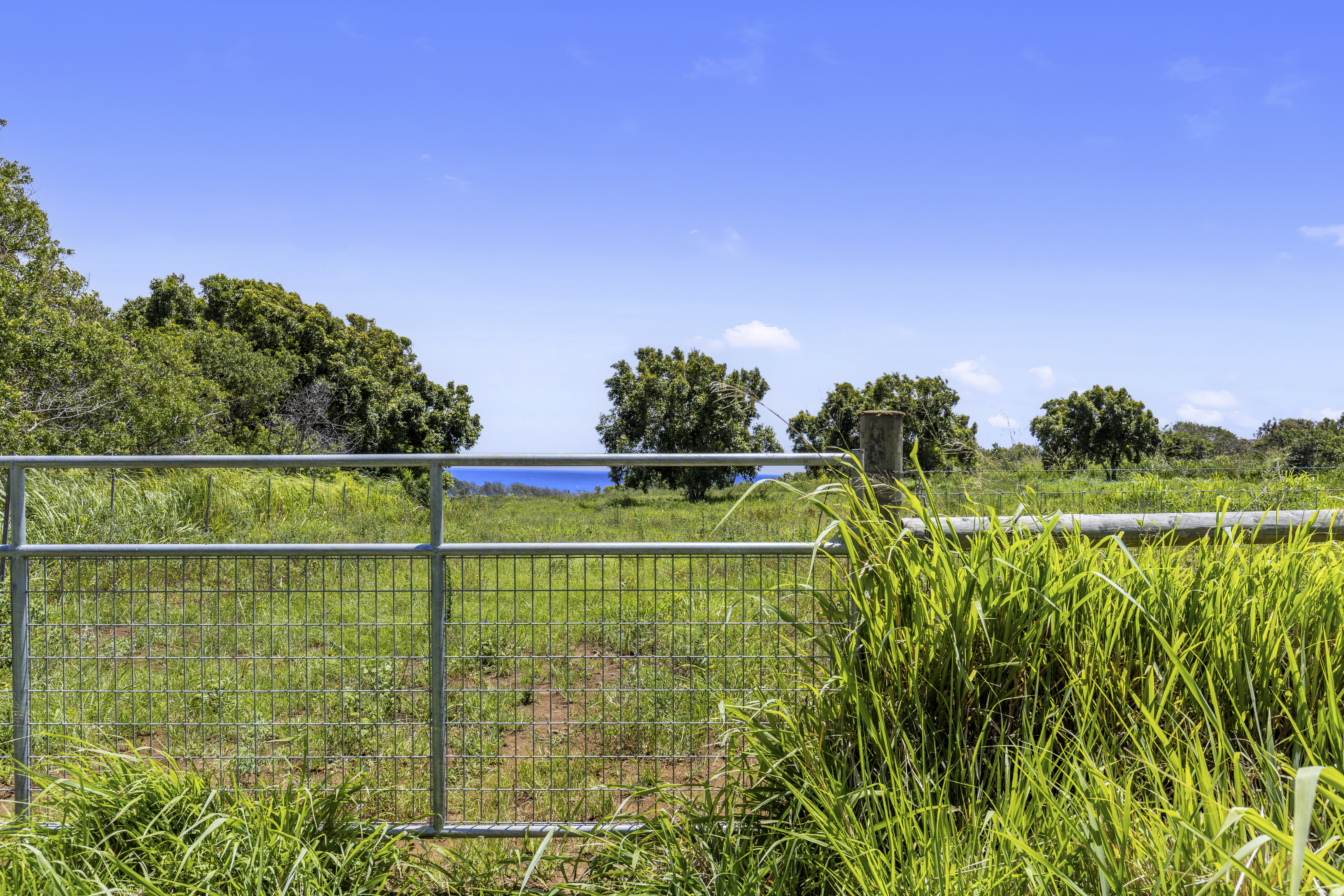 53-338 Kapanaia Road Kapaau, HI 96755 - Photo 6 of 22