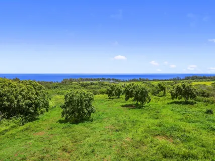 $890,000 | 53-338 Kapanaia Road, Kapaau, HI 96755