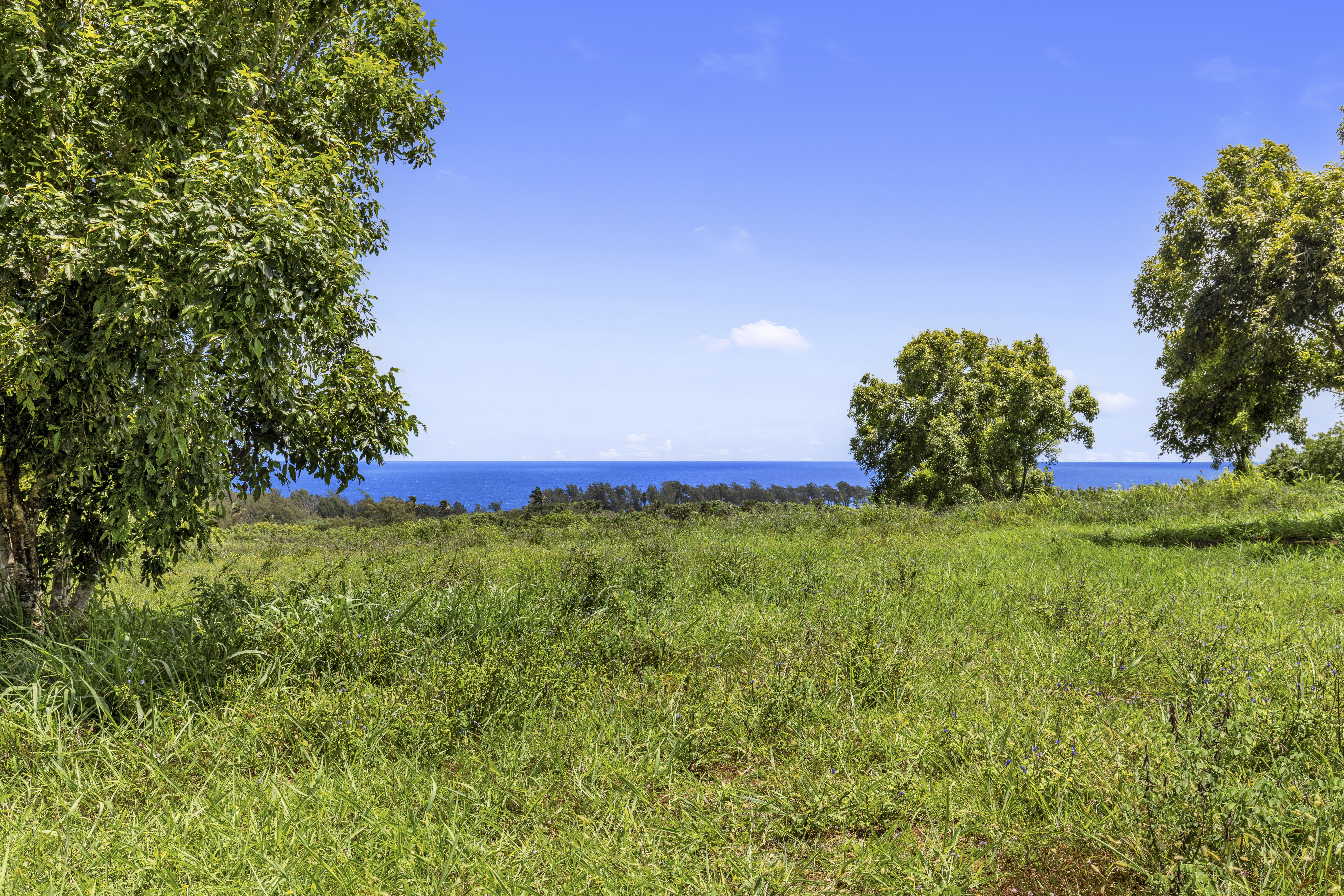 53-338 Kapanaia Road Kapaau, HI 96755 - Photo 8 of 22