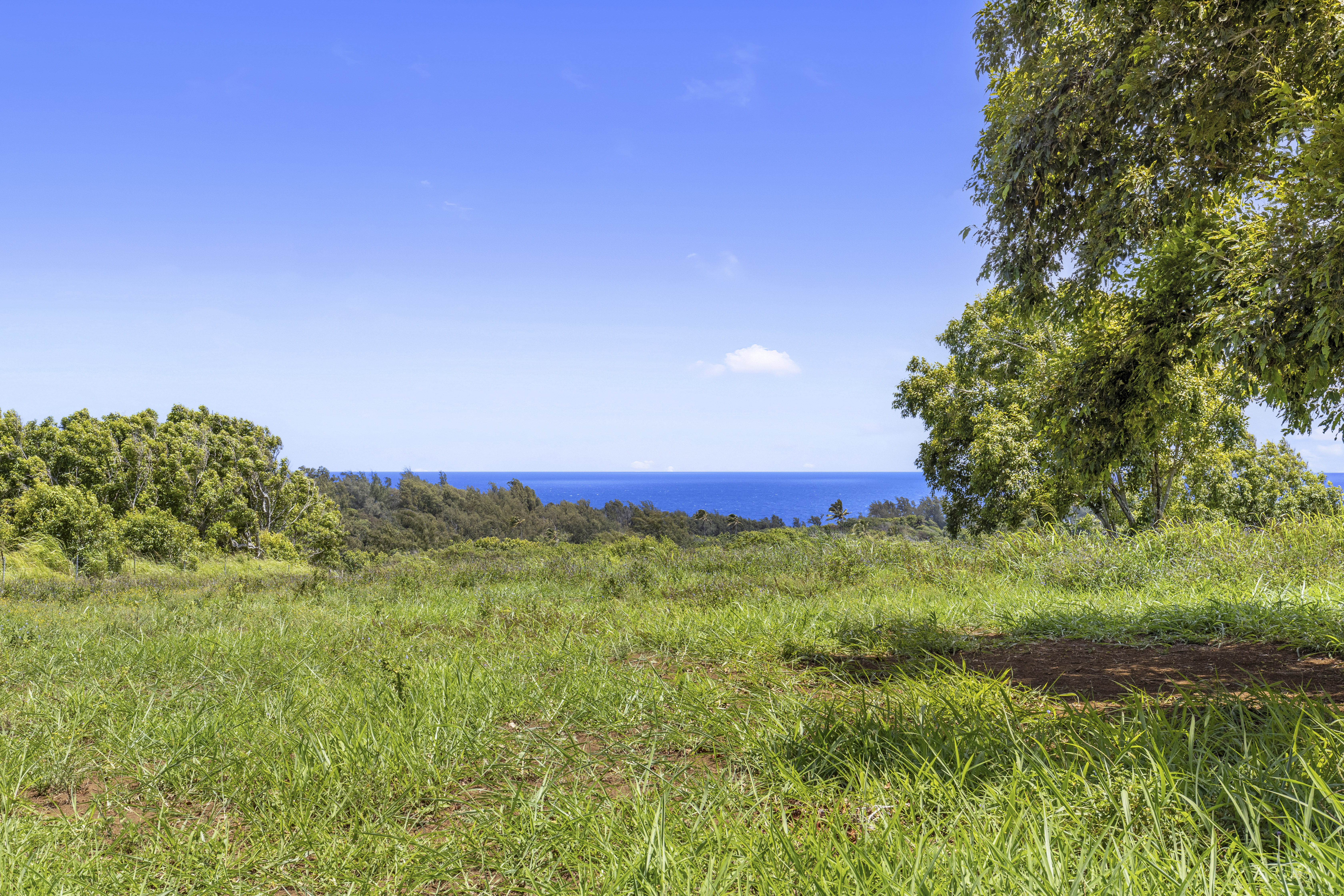 53-338 Kapanaia Road Kapaau, HI 96755 - Photo 9 of 22