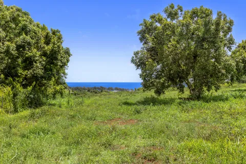 $890,000 | 53-338 Kapanaia Road, Kapaau, HI 96755