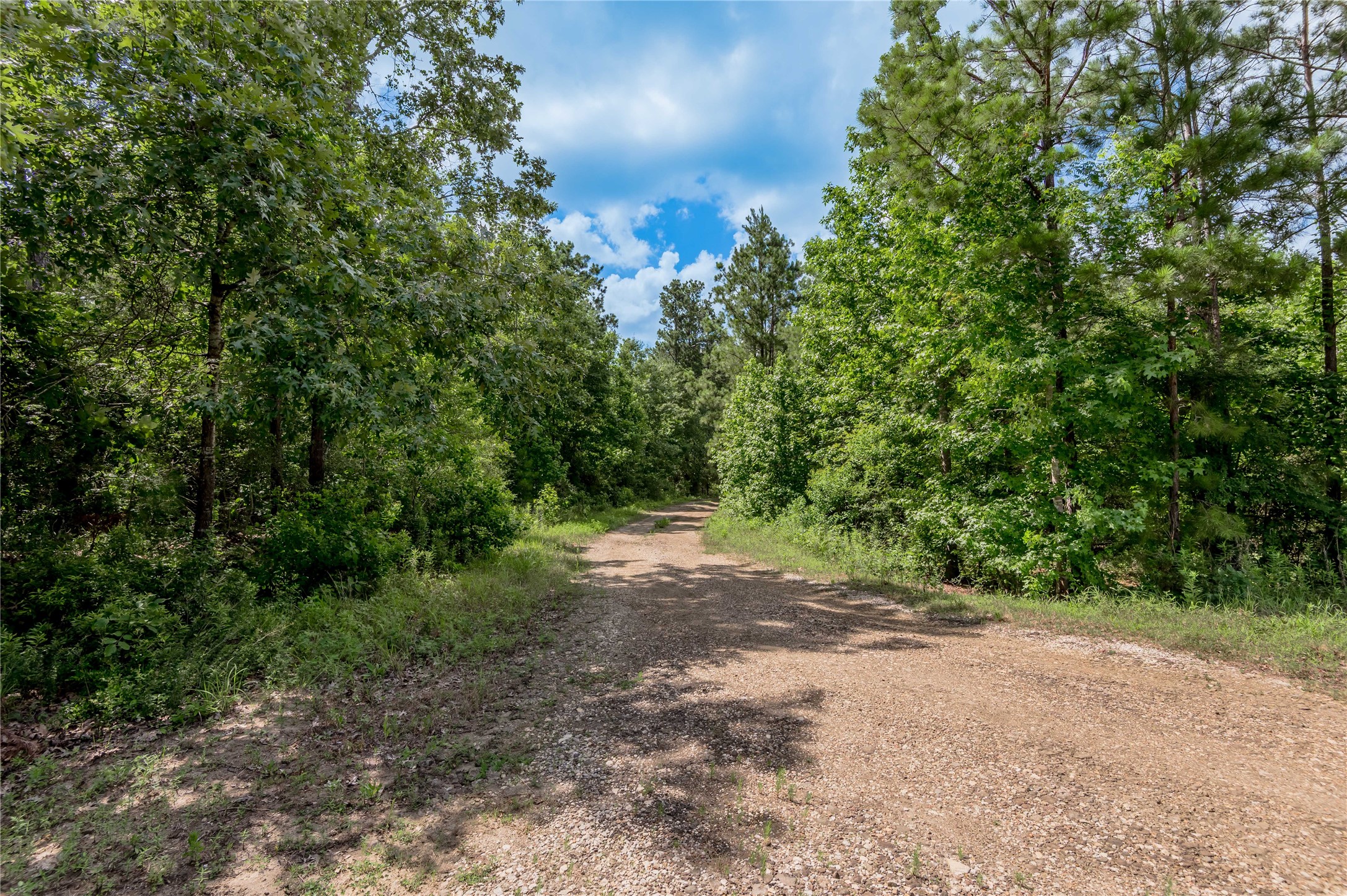 Na Gaston Road Apple Springs, TX 75926 - Photo 4 of 12
