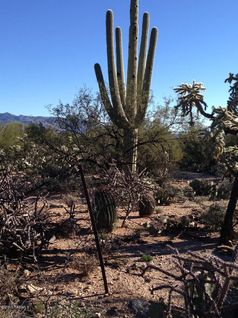 11830 East Snyder Road, Unit 48A Tucson, AZ 85749 - Photo 1 of 1