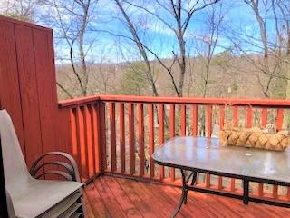 3329 Forest Ridge Road Roanoke, VA 24018 - Photo 8 of 31 View from Deck