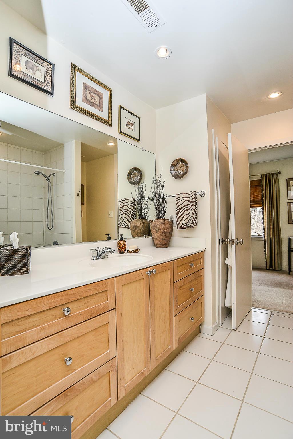 2249 Hunter Mill Road Vienna, VA 22181 - Photo 14 of 30 Main Level Bath
