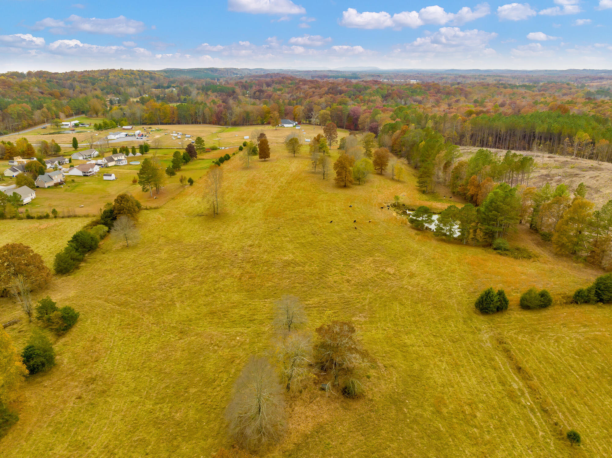 1376 Keith Valley Road Southeast Cleveland, TN 37323 - Photo 11 of 88 1376-Keith-MLS-Photos-12