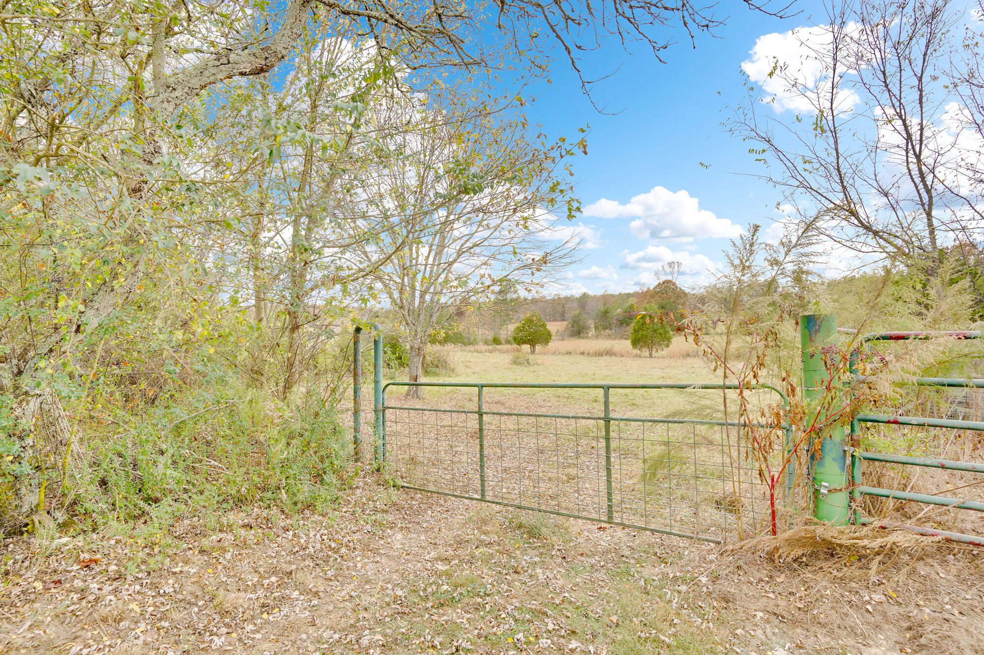1376 Keith Valley Road Southeast Cleveland, TN 37323 - Photo 85 of 88 1376-Keith-MLS-Photos-40